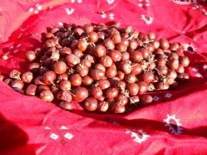 manzanita berries